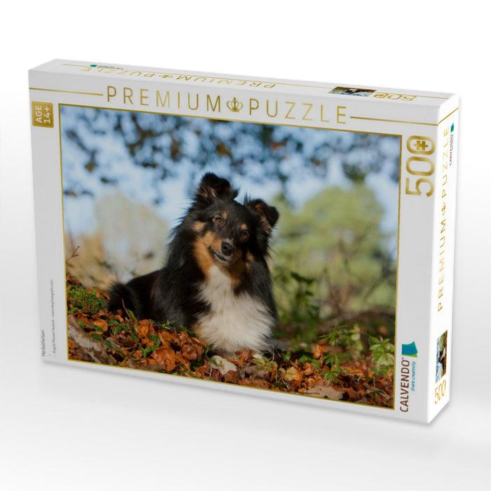 Herbstfarben - CALVENDO Foto-Puzzle'