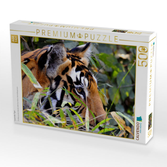Lauernder Tiger - CALVENDO Foto-Puzzle'