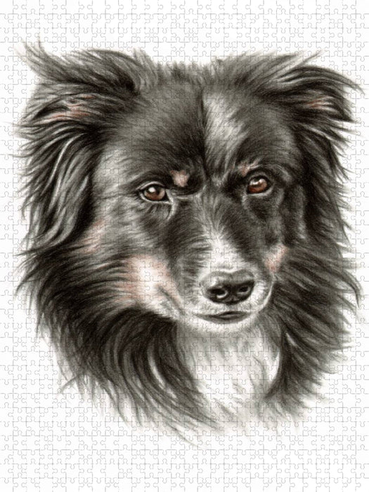 Border Collie - CALVENDO Foto-Puzzle'