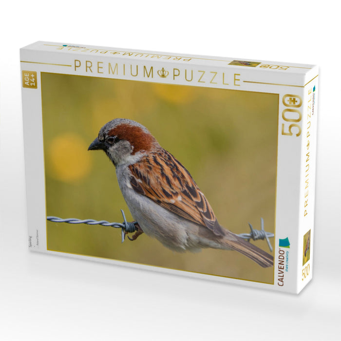 Sperling - CALVENDO Foto-Puzzle'