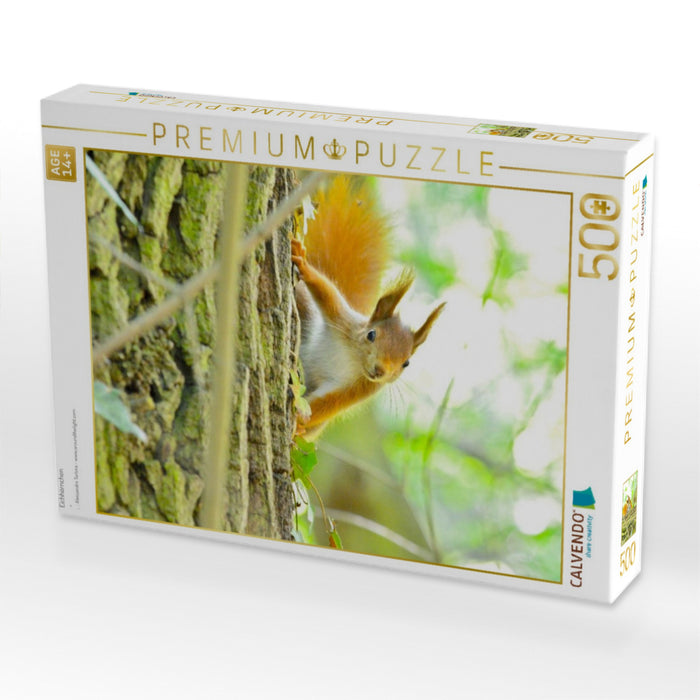 Eichhörnchen - CALVENDO Foto-Puzzle'