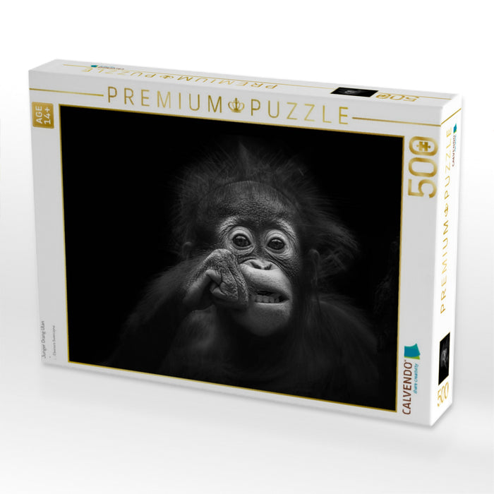 Junger Orang Utan - CALVENDO Foto-Puzzle'