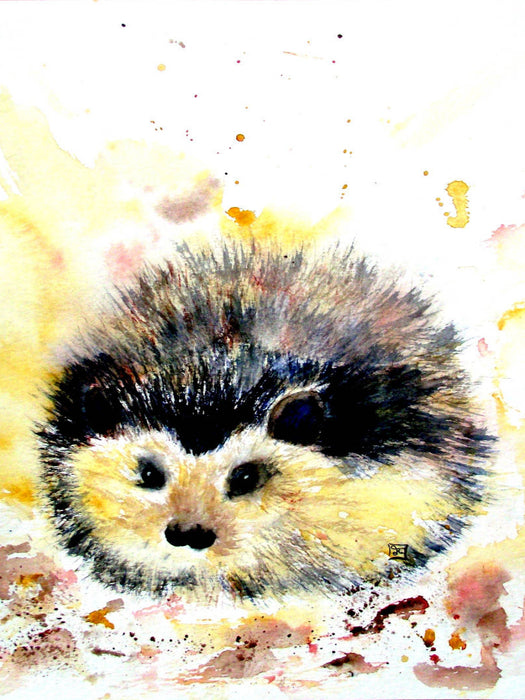 Igel - CALVENDO Foto-Puzzle'