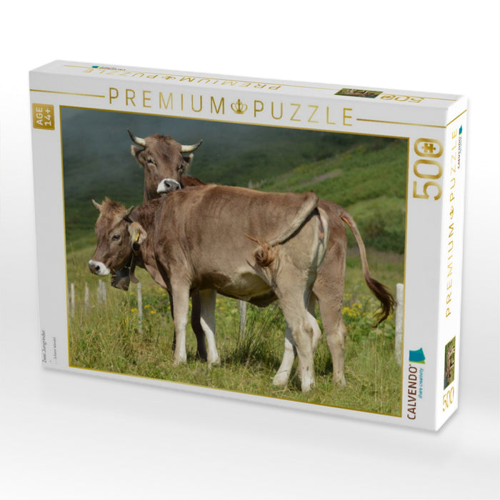 Zwei Jungrinder - CALVENDO Foto-Puzzle'