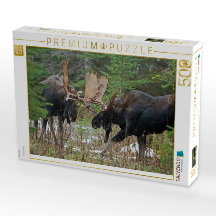 Gefecht - CALVENDO Foto-Puzzle'