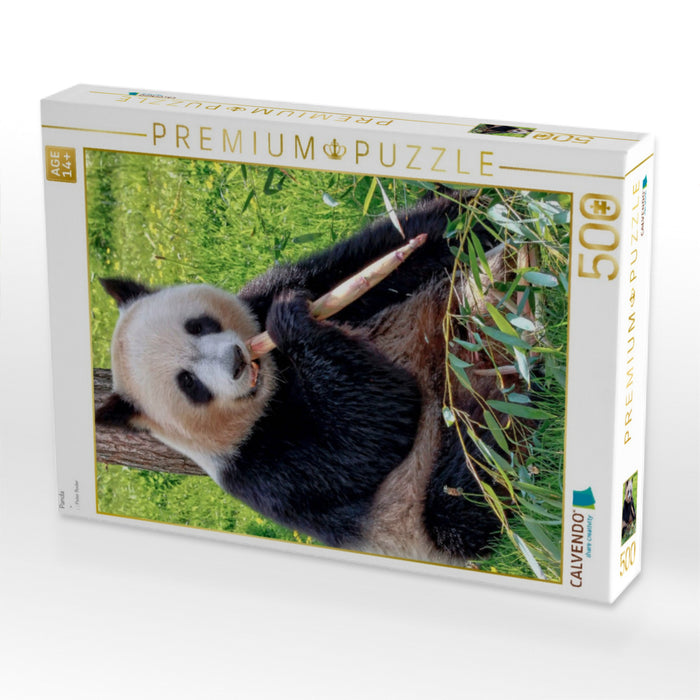 Panda - CALVENDO Foto-Puzzle'