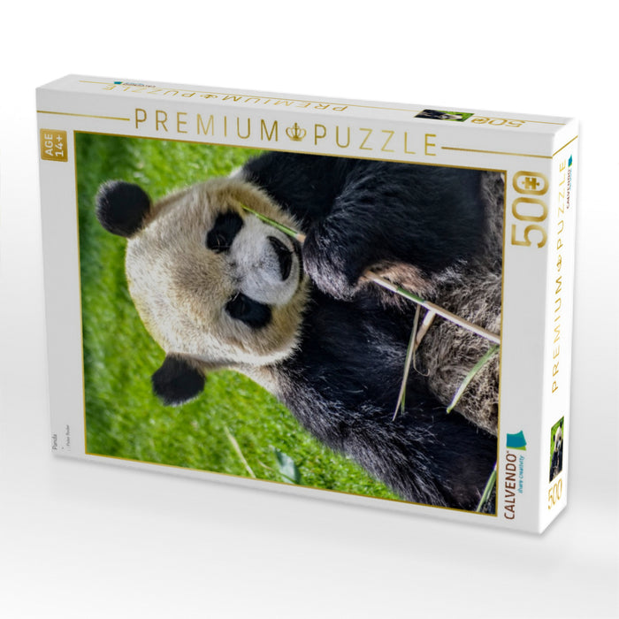 Panda - CALVENDO Foto-Puzzle'