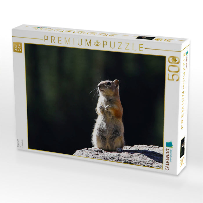 Chipmunk - CALVENDO Foto-Puzzle'