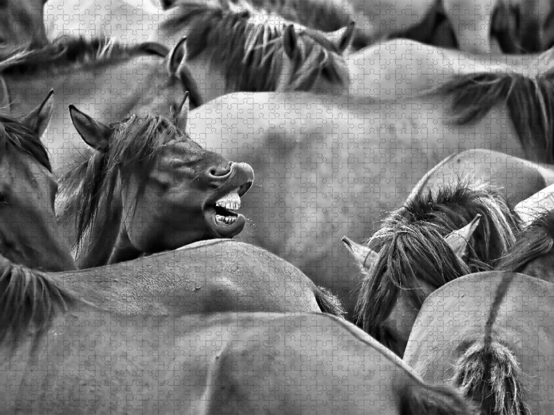 Darf ich mal bitte durch - CALVENDO Foto-Puzzle'