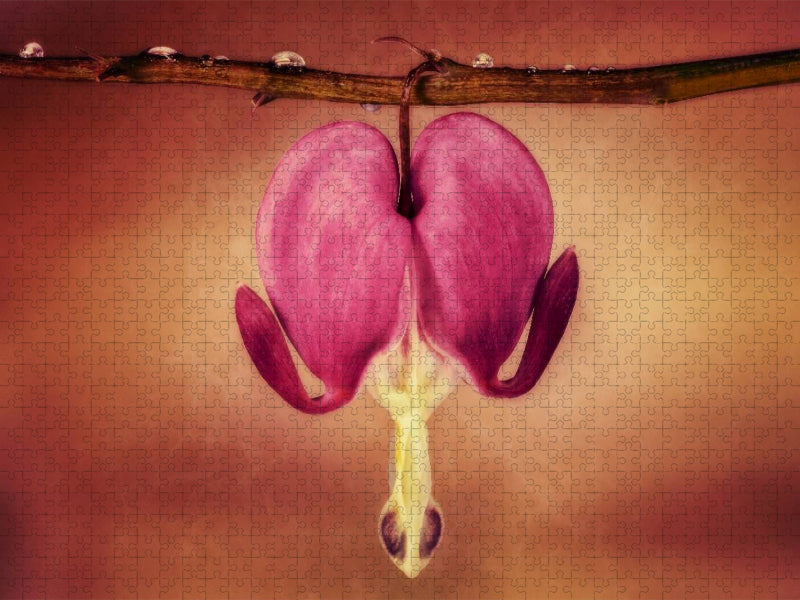 Feelings - CALVENDO Foto-Puzzle'