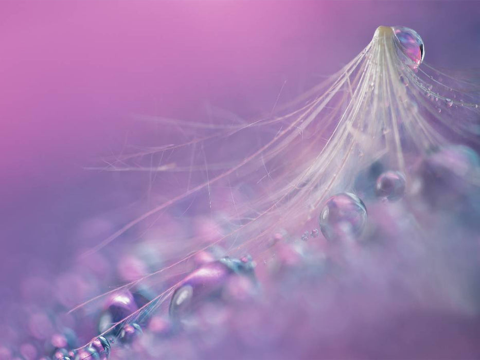 Bubbles - CALVENDO Foto-Puzzle'