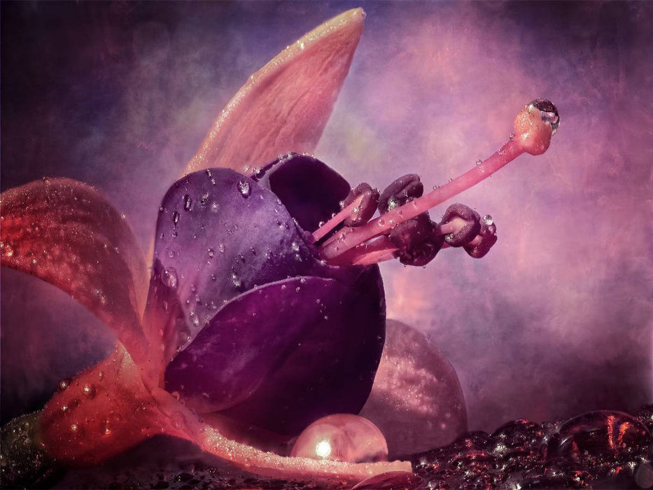 Spaceflower - CALVENDO Foto-Puzzle'
