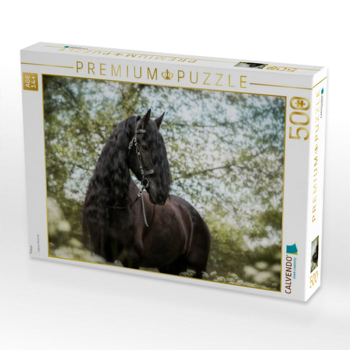 Friese - CALVENDO Foto-Puzzle'