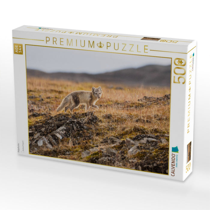 Polarfuchs - CALVENDO Foto-Puzzle'