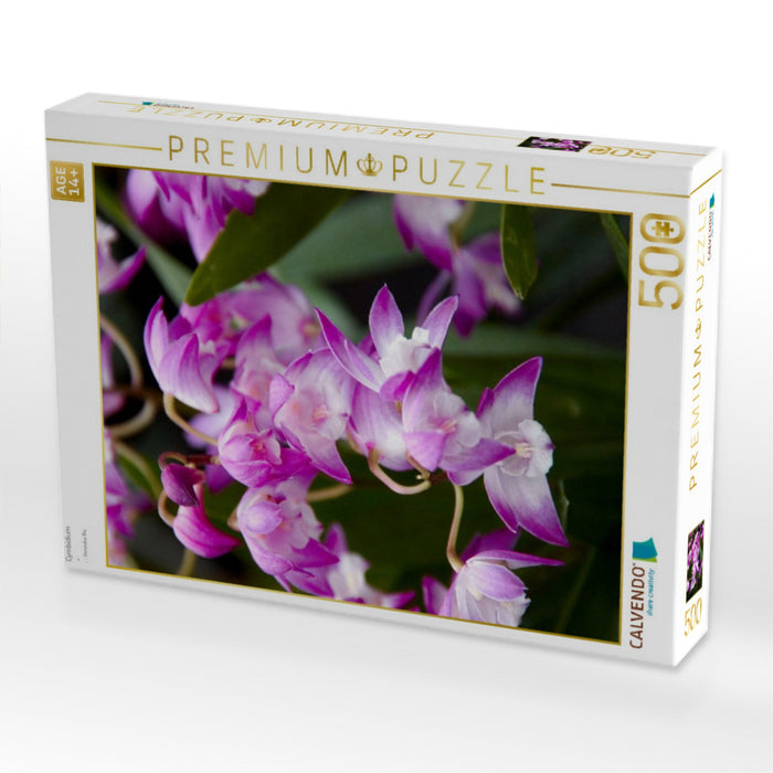 Cymbidium - CALVENDO Foto-Puzzle'
