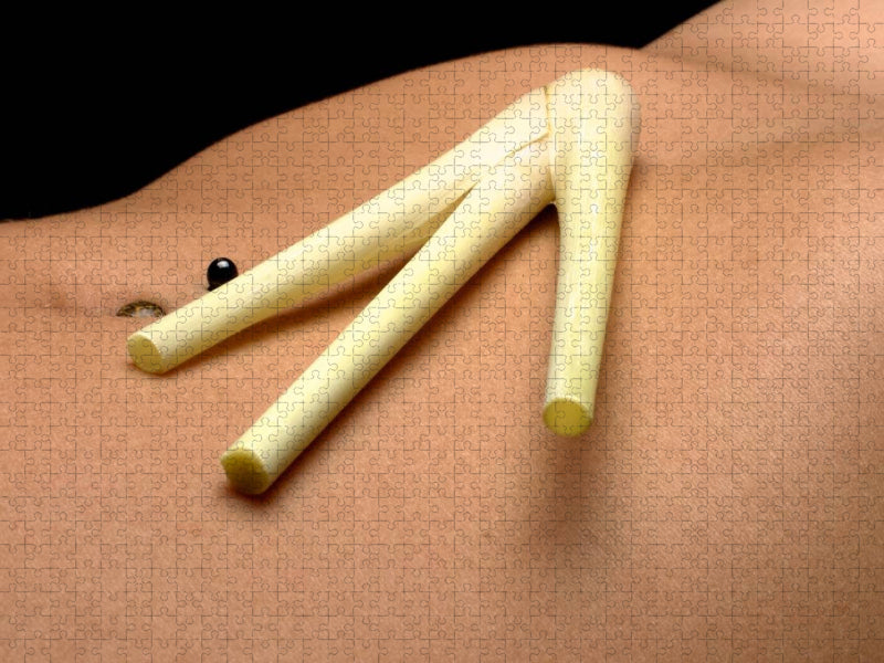 Zitronengras - CALVENDO Foto-Puzzle'