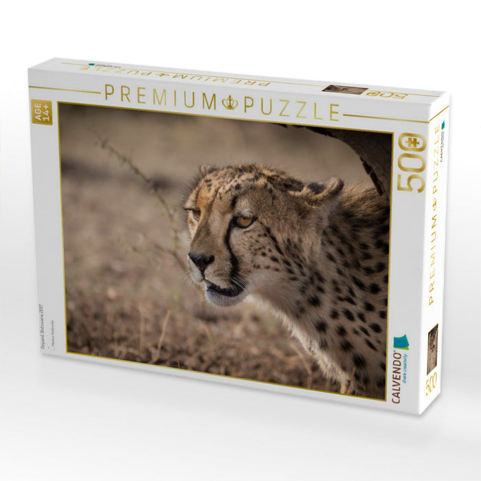 Gepard, Botswana 2017 - CALVENDO Foto-Puzzle'