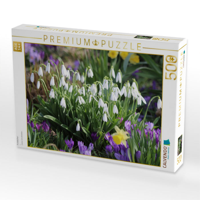 Frühblüher - CALVENDO Foto-Puzzle'