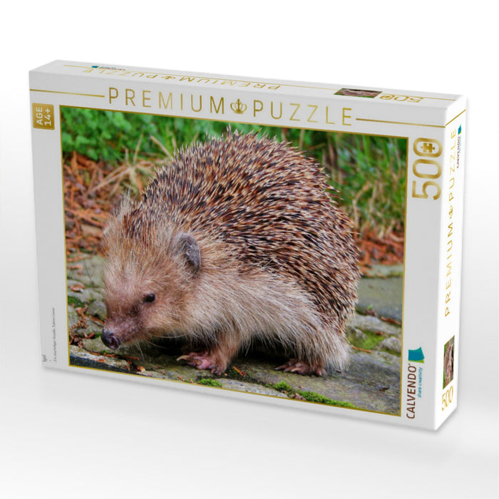 Igel - CALVENDO Foto-Puzzle'