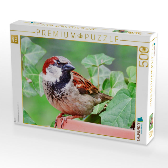 Spatz - CALVENDO Foto-Puzzle'