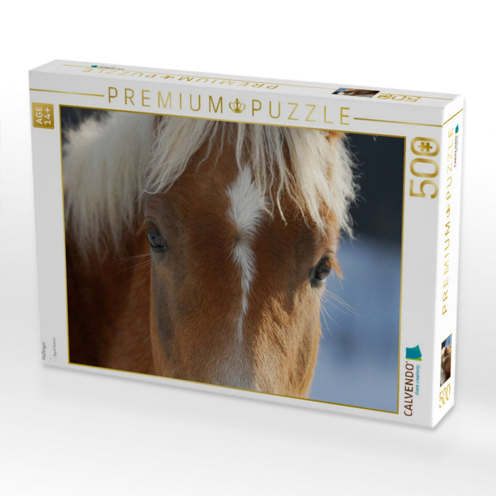 Haflinger - CALVENDO Foto-Puzzle'