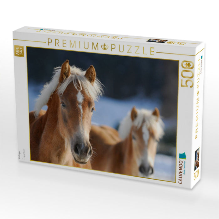 Haflinger - CALVENDO Foto-Puzzle'