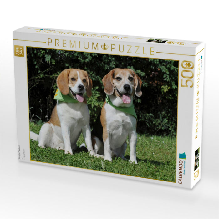 Beagle Pärchen - CALVENDO Foto-Puzzle'