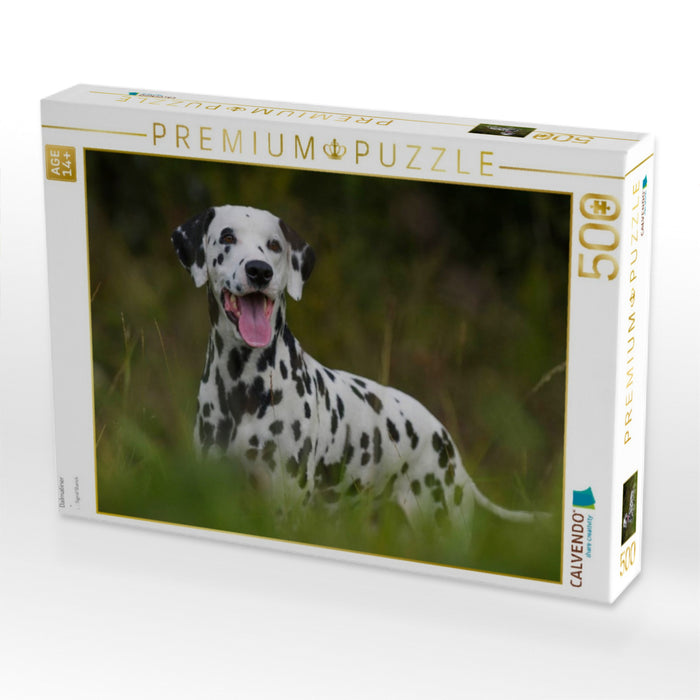 Dalmatiner - CALVENDO Foto-Puzzle'