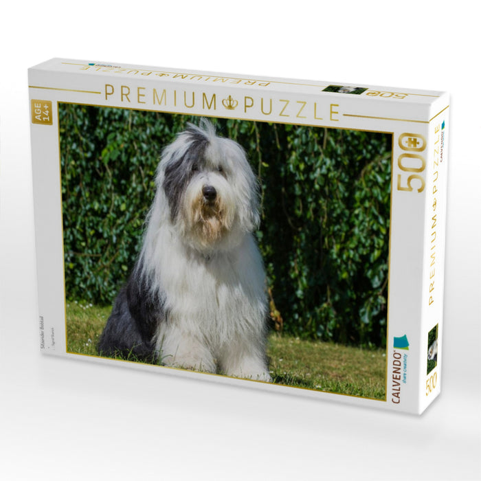 Sitzender Bobtail - CALVENDO Foto-Puzzle'