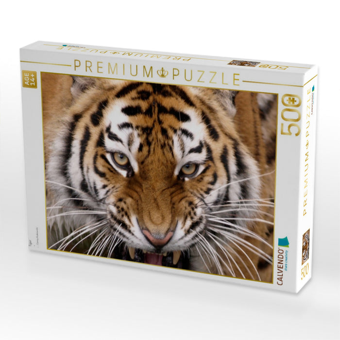Tiger - CALVENDO Foto-Puzzle'