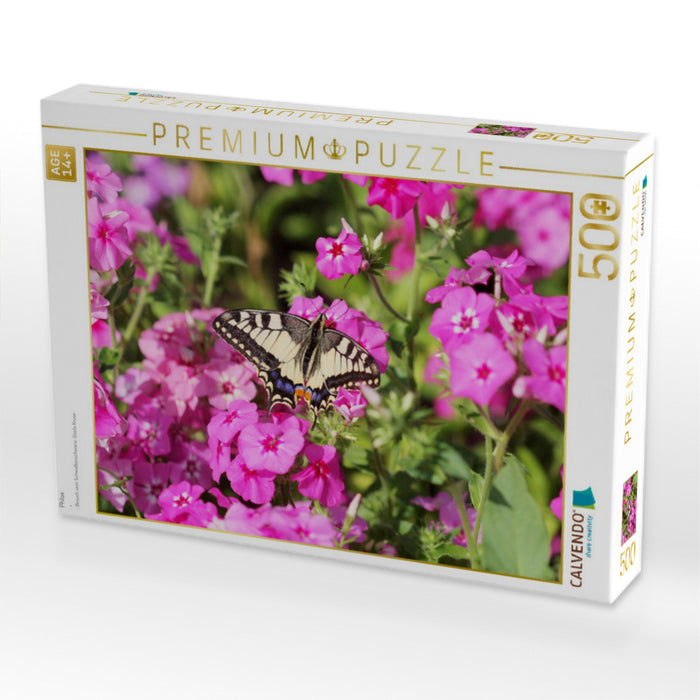 Phlox - CALVENDO Foto-Puzzle'