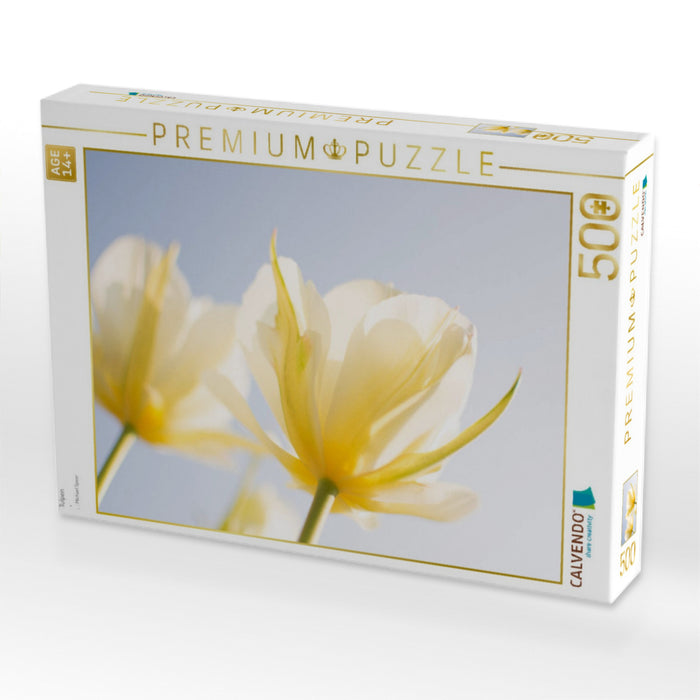 Tulpen - CALVENDO Foto-Puzzle'