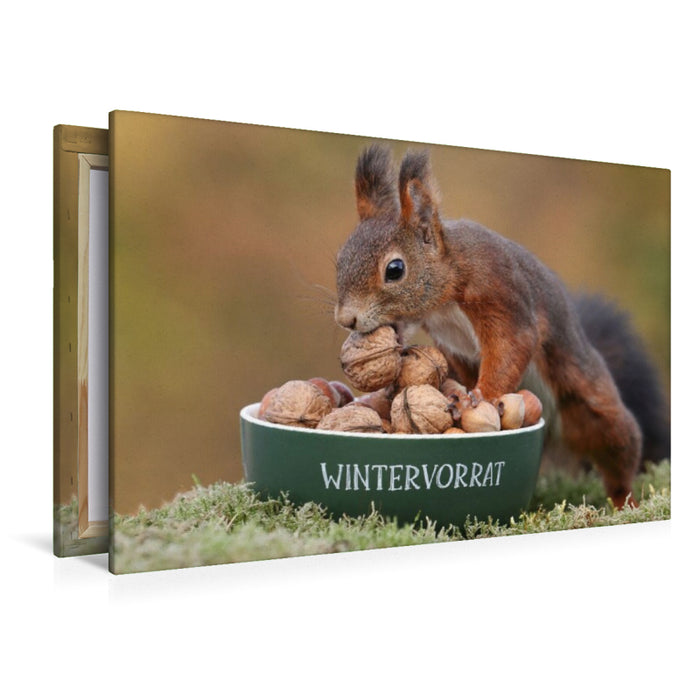 Premium Textil-Leinwand Eichhörnchen mit Wintervorrat