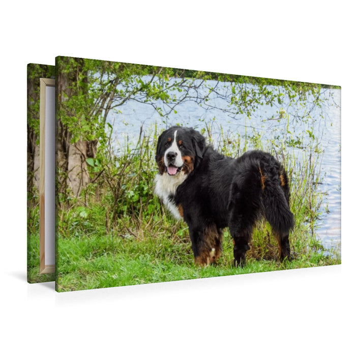 Premium Textil-Leinwand Kurze Pause am Wasser