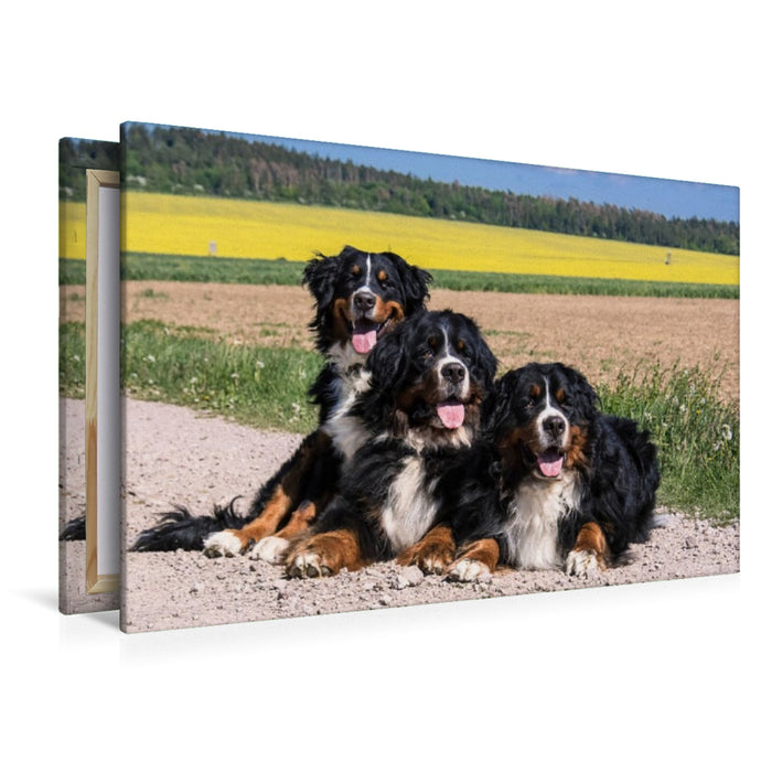 Premium Textil-Leinwand Freunde unterwegs