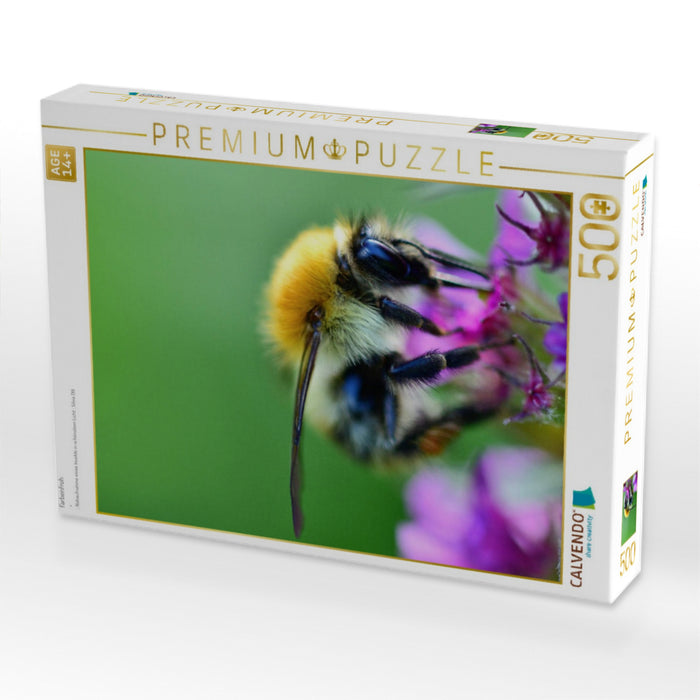 Farbenfroh - CALVENDO Foto-Puzzle'