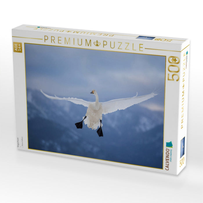 Singschwan - CALVENDO Foto-Puzzle'