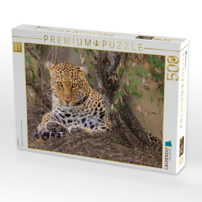 Leopardin - CALVENDO Foto-Puzzle'