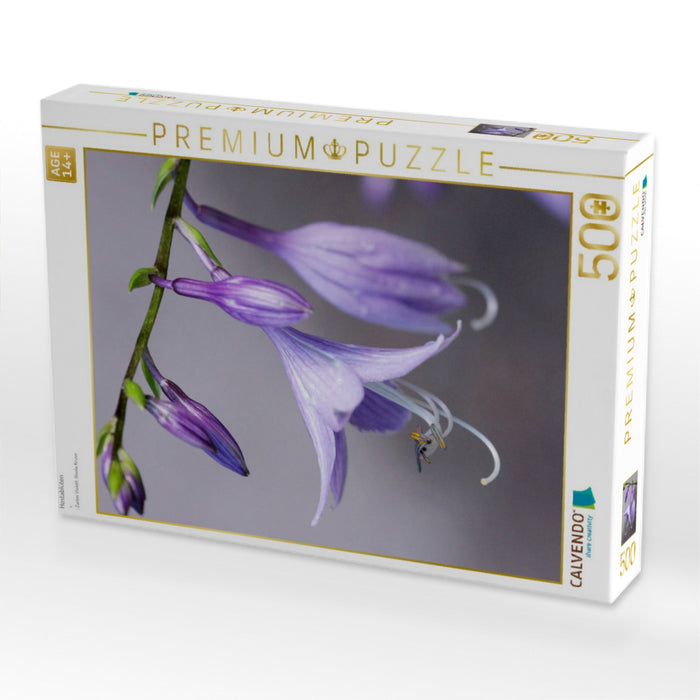 Hostablüten - CALVENDO Foto-Puzzle'