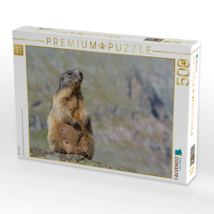 Murmeltier - CALVENDO Foto-Puzzle'