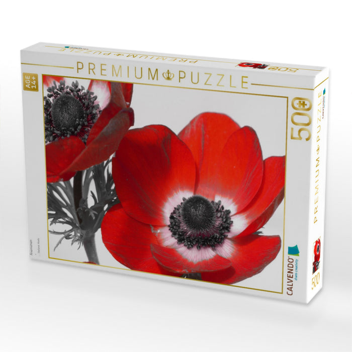 Anemonen - CALVENDO Foto-Puzzle'