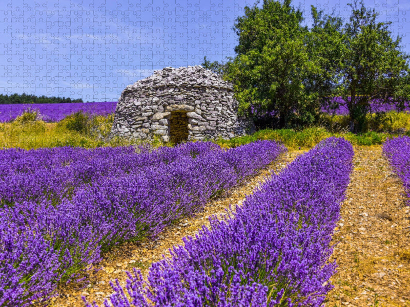 Lavendefeld mit Steinhütte - CALVENDO Foto-Puzzle'
