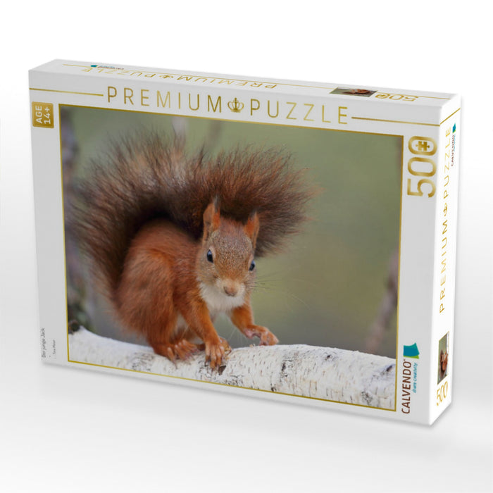 Der junge Jack - CALVENDO Foto-Puzzle'