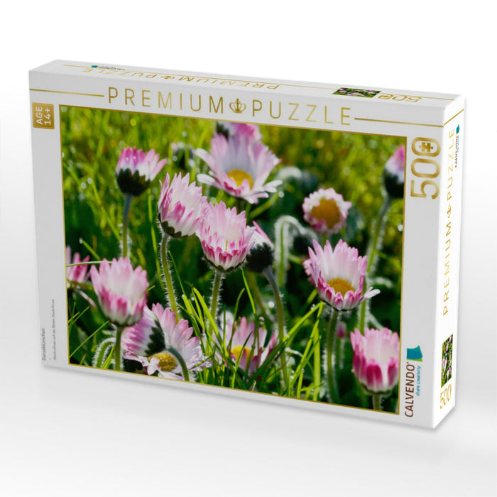Gänseblümchen - CALVENDO Foto-Puzzle'