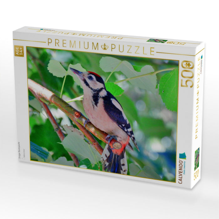 Junger Buntspecht - CALVENDO Foto-Puzzle'