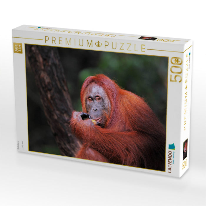 Frühstück - CALVENDO Foto-Puzzle'