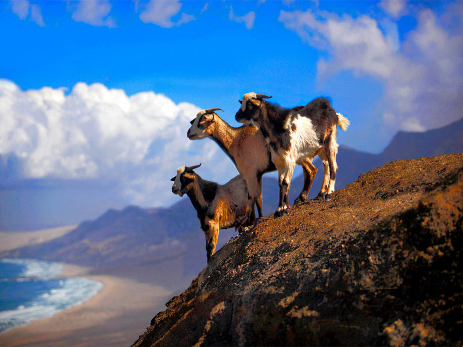 Cofete - CALVENDO Foto-Puzzle'