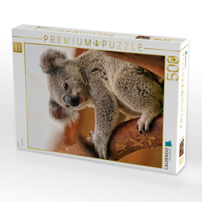 Koala - CALVENDO Foto-Puzzle'