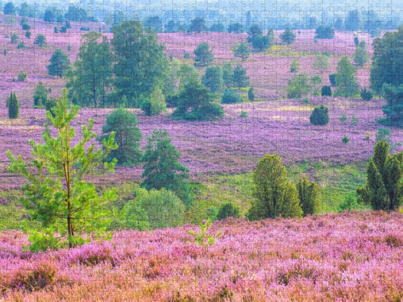 Lüneburger Heide - CALVENDO Foto-Puzzle'