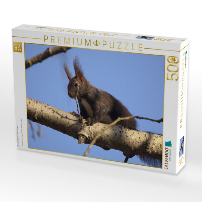 Neugieriges Eichhörnchen - CALVENDO Foto-Puzzle'